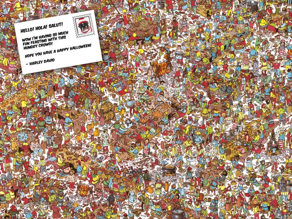 Where's Waldo - Where's Harley | Kira Stackhouse