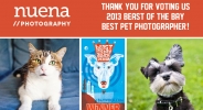 Bay Woof Beast of the Bay Awards - Nuena Photography Best Pet Photographer
