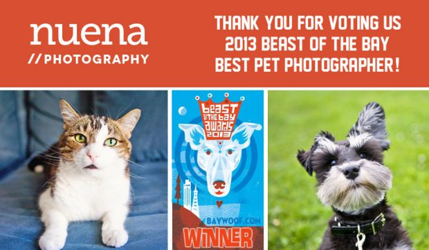 Bay Woof Beast of the Bay Awards - Nuena Photography Best Pet Photographer