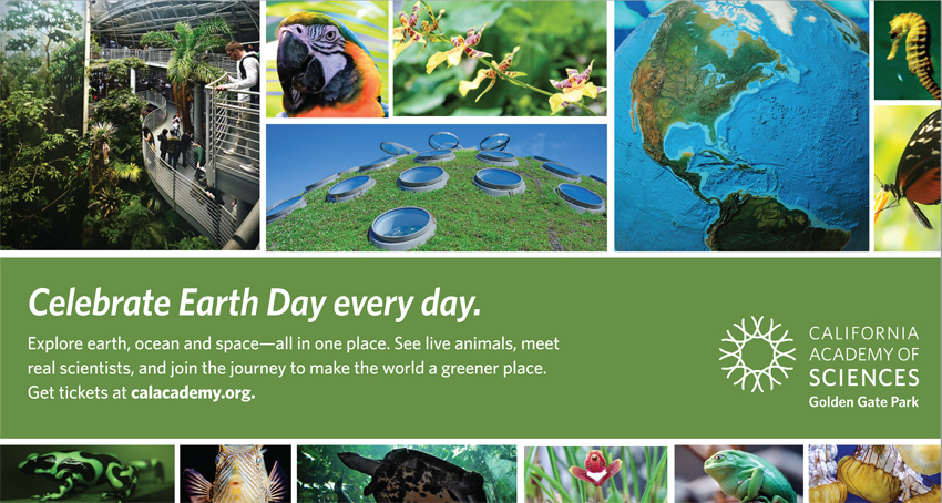 California Academy of Sciences - Earth Day Ad | Kira Stackhouse Photography