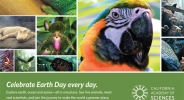 California Academy of Sciences - Earth Day Ad | Kira Stackhouse Photography
