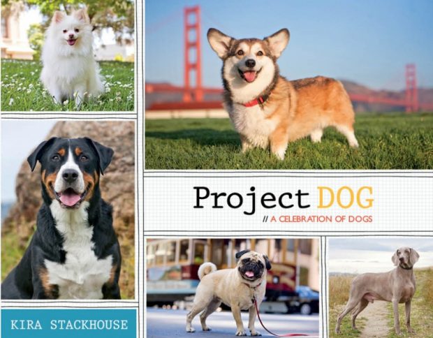 Project DOG by Kira Stackhouse