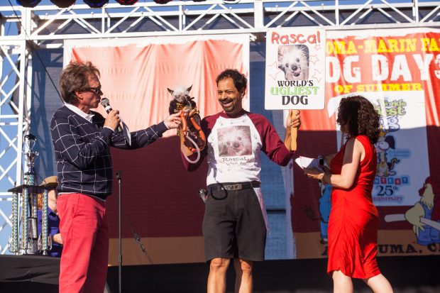 World's Ugliest Dog Contest 2013 - Rascal | Kira Stackhouse