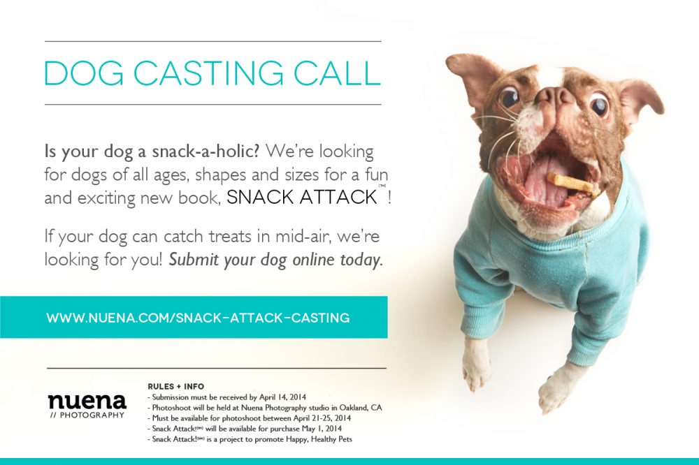 dog casting call