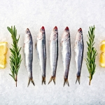 Anchovies - Royal Hawaiian Seafood | Kira Stackhouse Photography