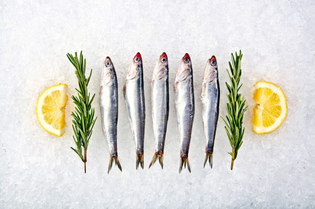 Anchovies - Royal Hawaiian Seafood | Kira Stackhouse Photography