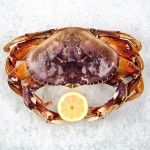 Dungeoness Crab - Royal Hawaiian Seafood | Kira Stackhouse Photography