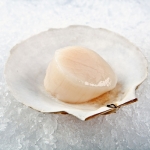 Scallop - Royal Hawaiian Seafood | Kira Stackhouse Photography