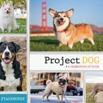 Project DOG by Kira Stackhouse