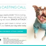 dog casting call